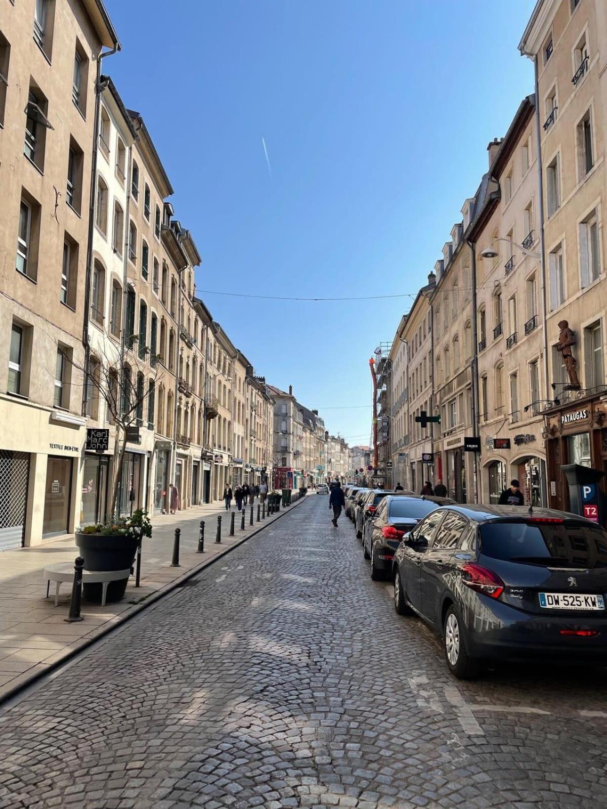 Le Dominicains Appartement Au Calme Aux Portes De La Place Stanislas Nancy Exterior foto